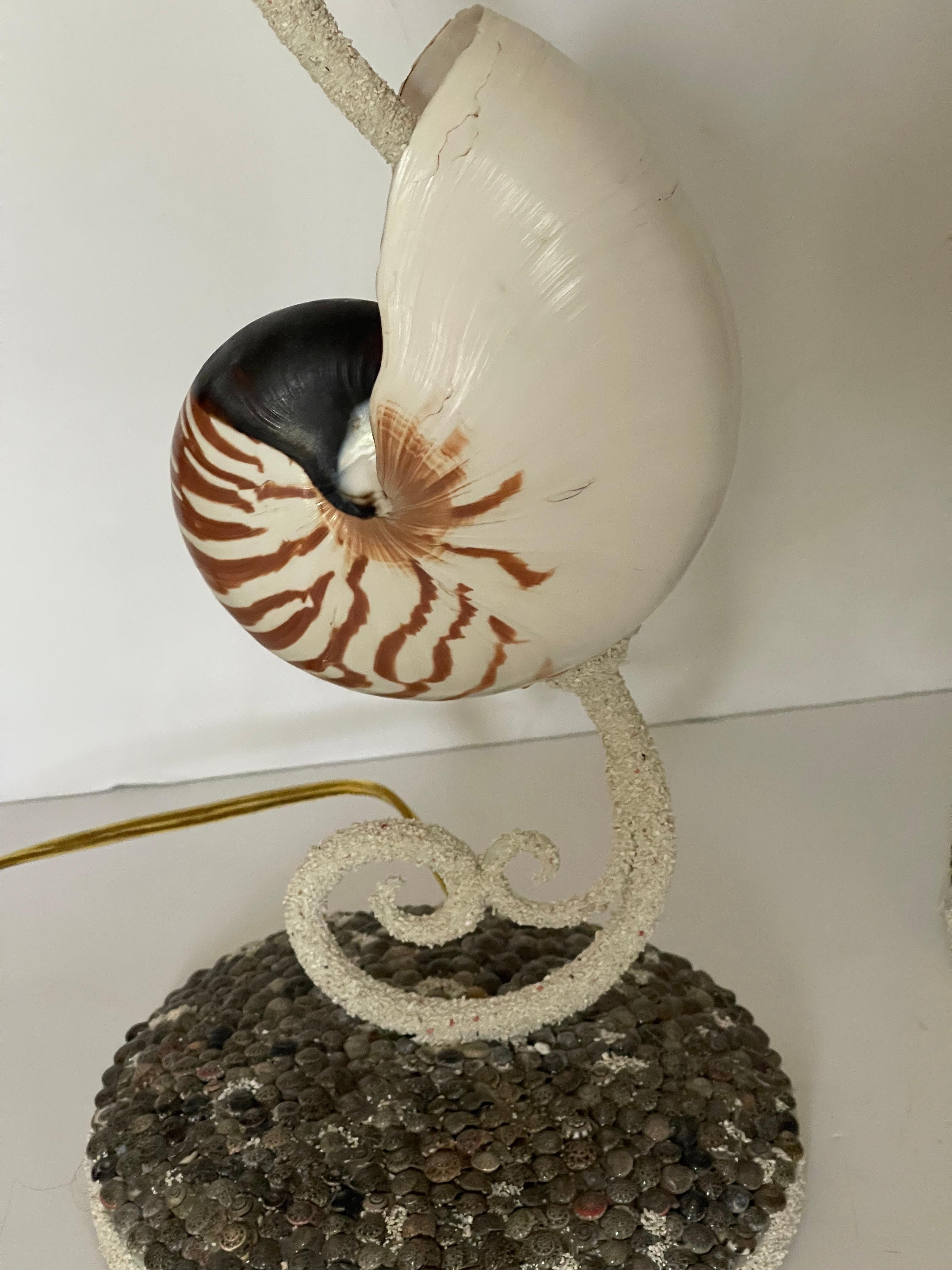 Milieu du XXe siècle Fabuleuse paire de lampes MCM Coastal Sea Shell Nautilus en vente