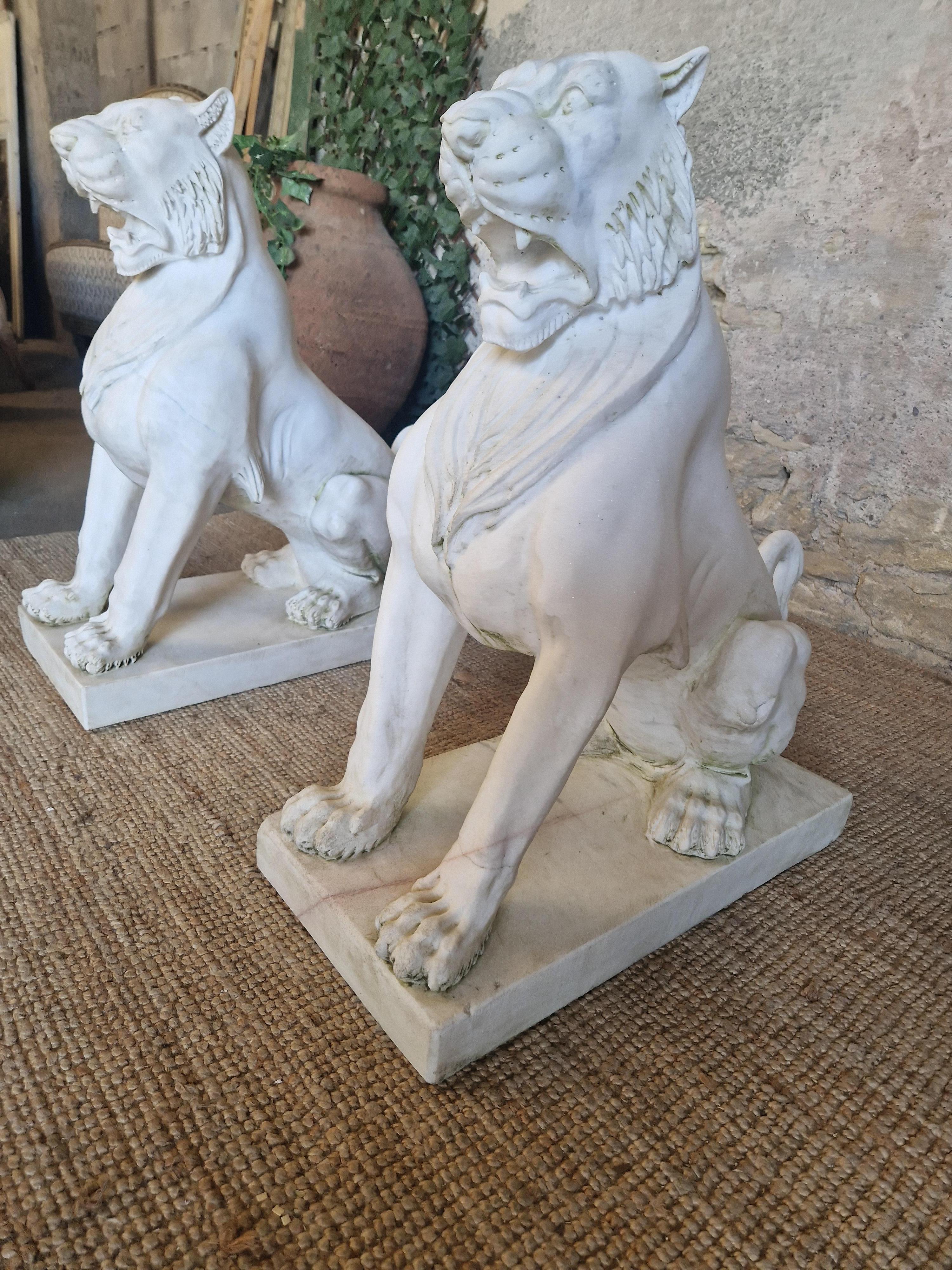 Fabulosa Pareja de Estatuas de Leones de Mármol Tamaño Natural en venta 4