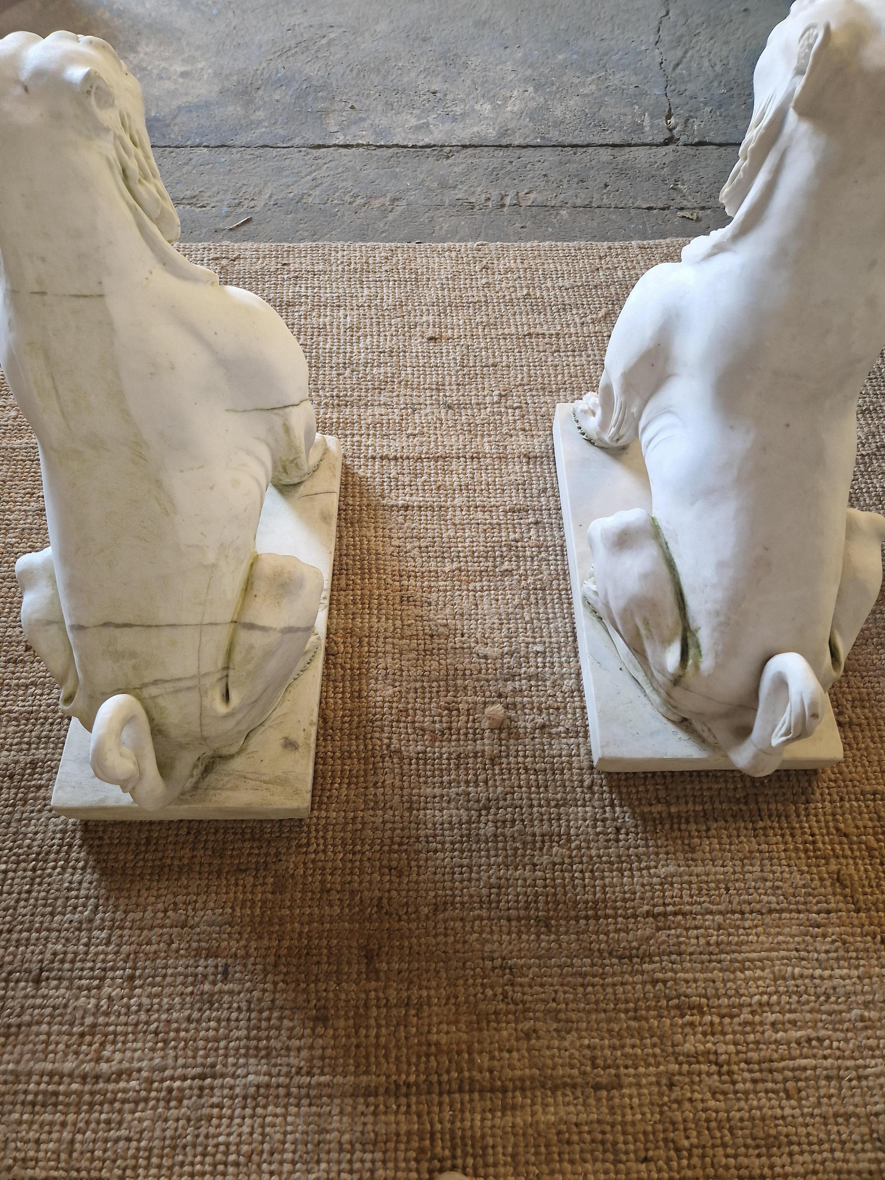 Fabulosa Pareja de Estatuas de Leones de Mármol Tamaño Natural en venta 5