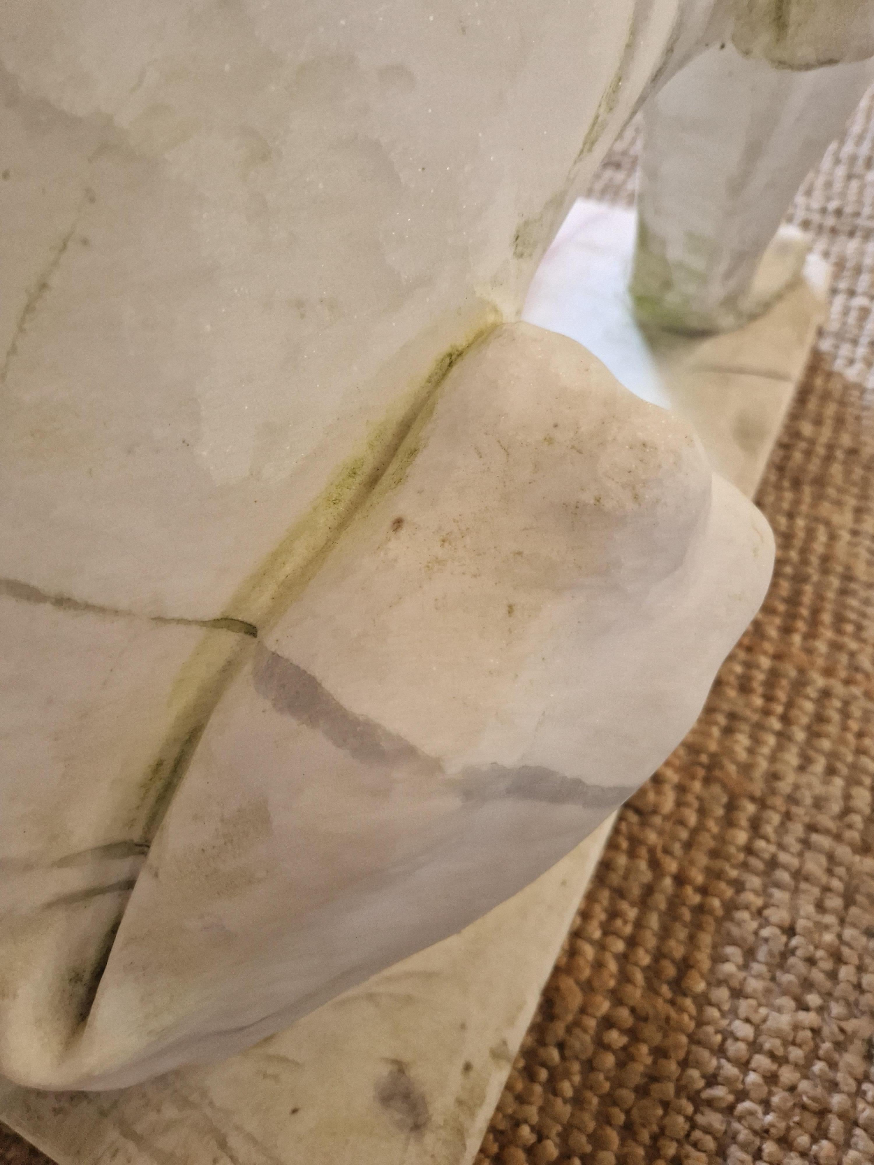 Fabulosa Pareja de Estatuas de Leones de Mármol Tamaño Natural en venta 6