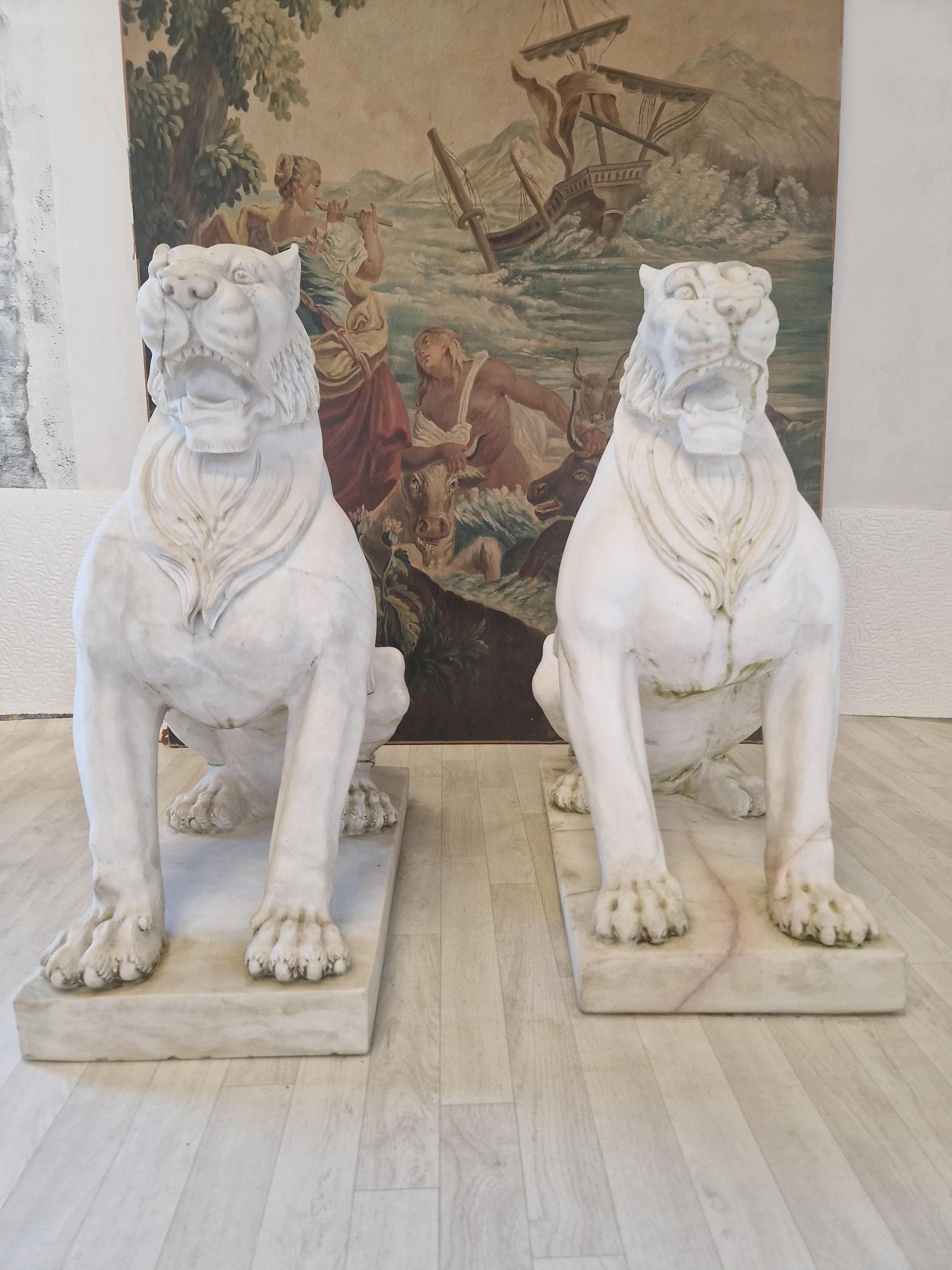 Estamos encantados de ofrecer a la venta esta Pareja de fabulosas Estatuas de León de Mármol.

Estas fantásticas estatuas de exterior o interior representan leones sentados vigilando.

Las estatuas están muy desgastadas y presentan signos de