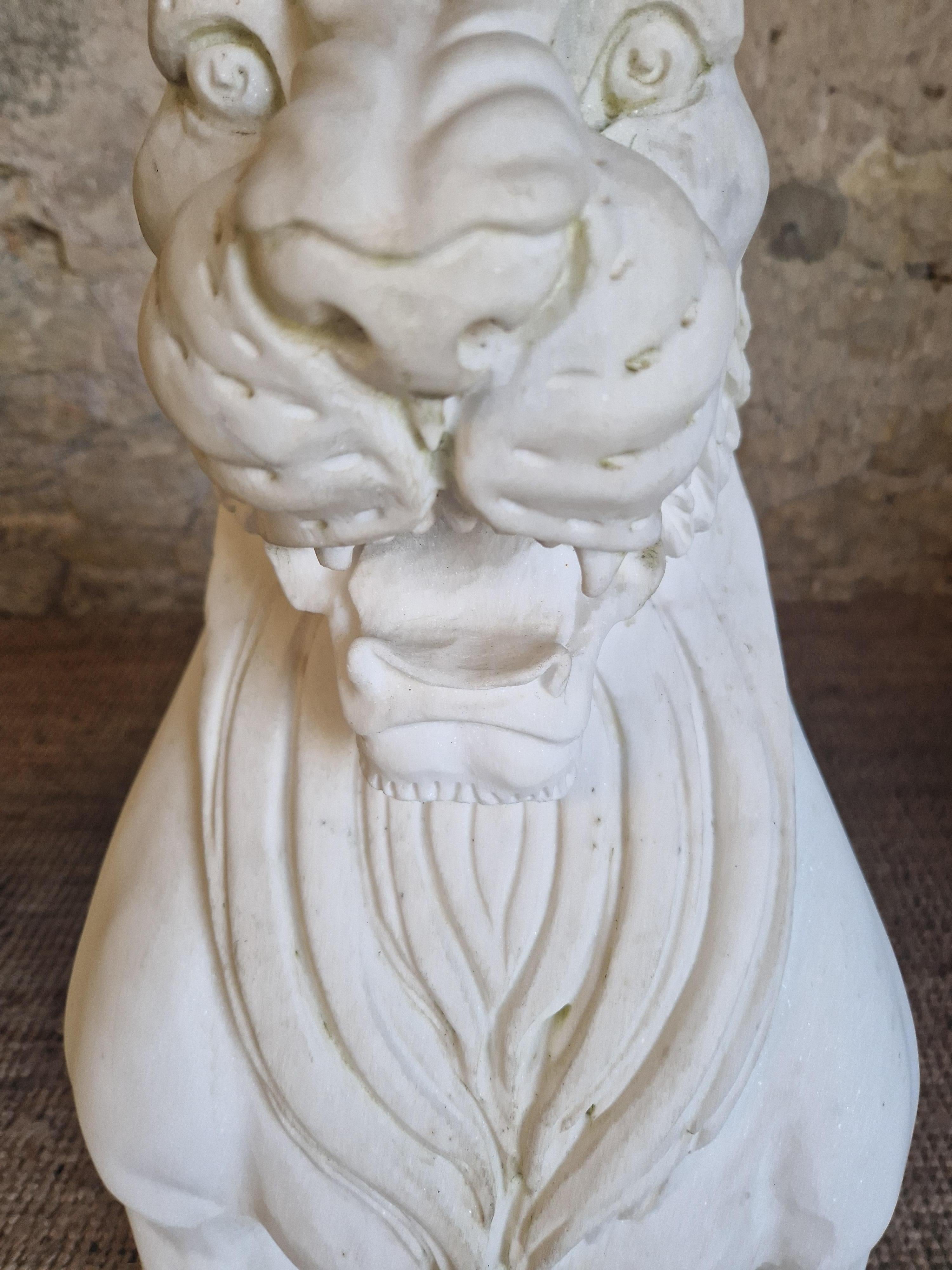 Fabulosa Pareja de Estatuas de Leones de Mármol Tamaño Natural en Bueno estado para la venta en Buxton, GB