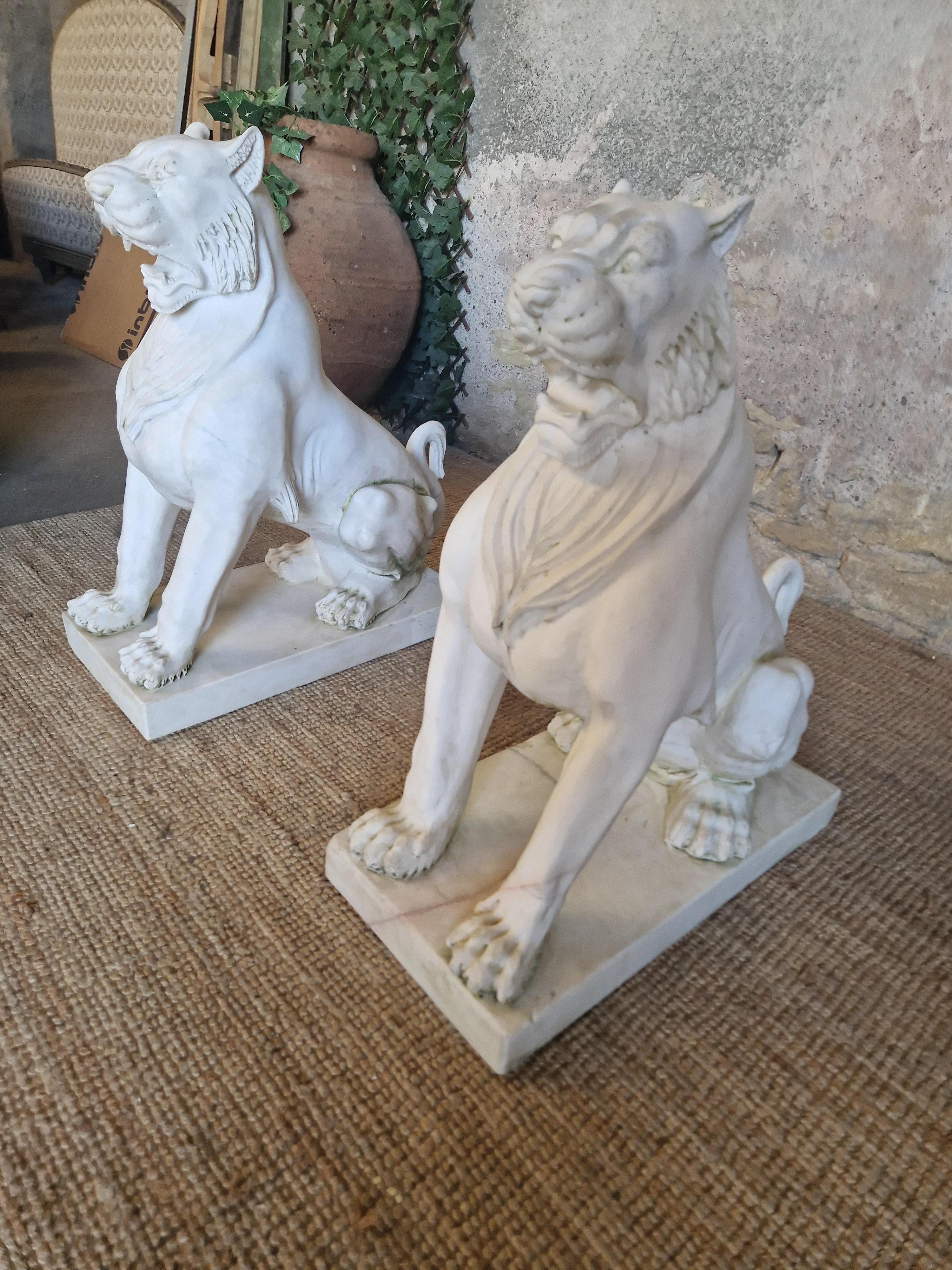 Fabulosa Pareja de Estatuas de Leones de Mármol Tamaño Natural en venta 1