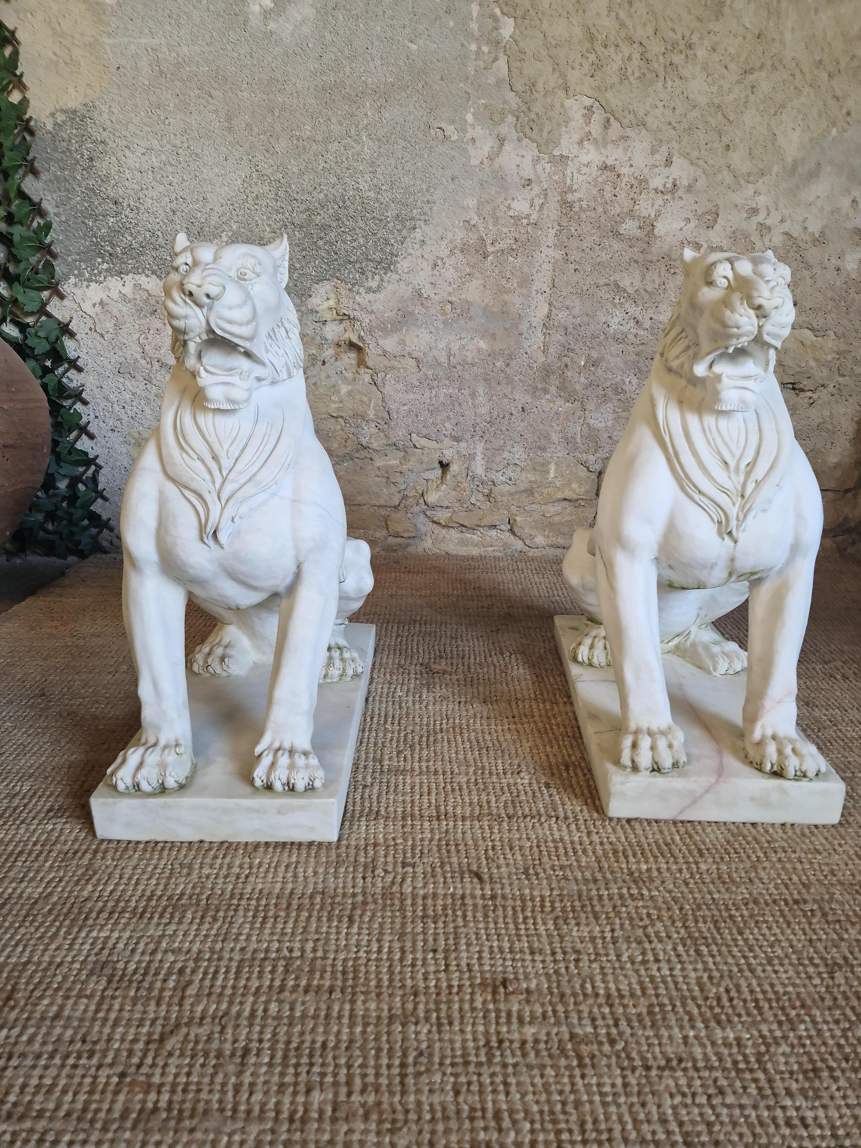 Fabulosa Pareja de Estatuas de Leones de Mármol Tamaño Natural en venta 2