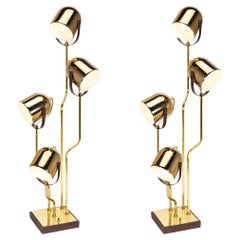 Fabulous Pair of Multidirectional Goffredo Reggiani Space Age Brass Table Lamps