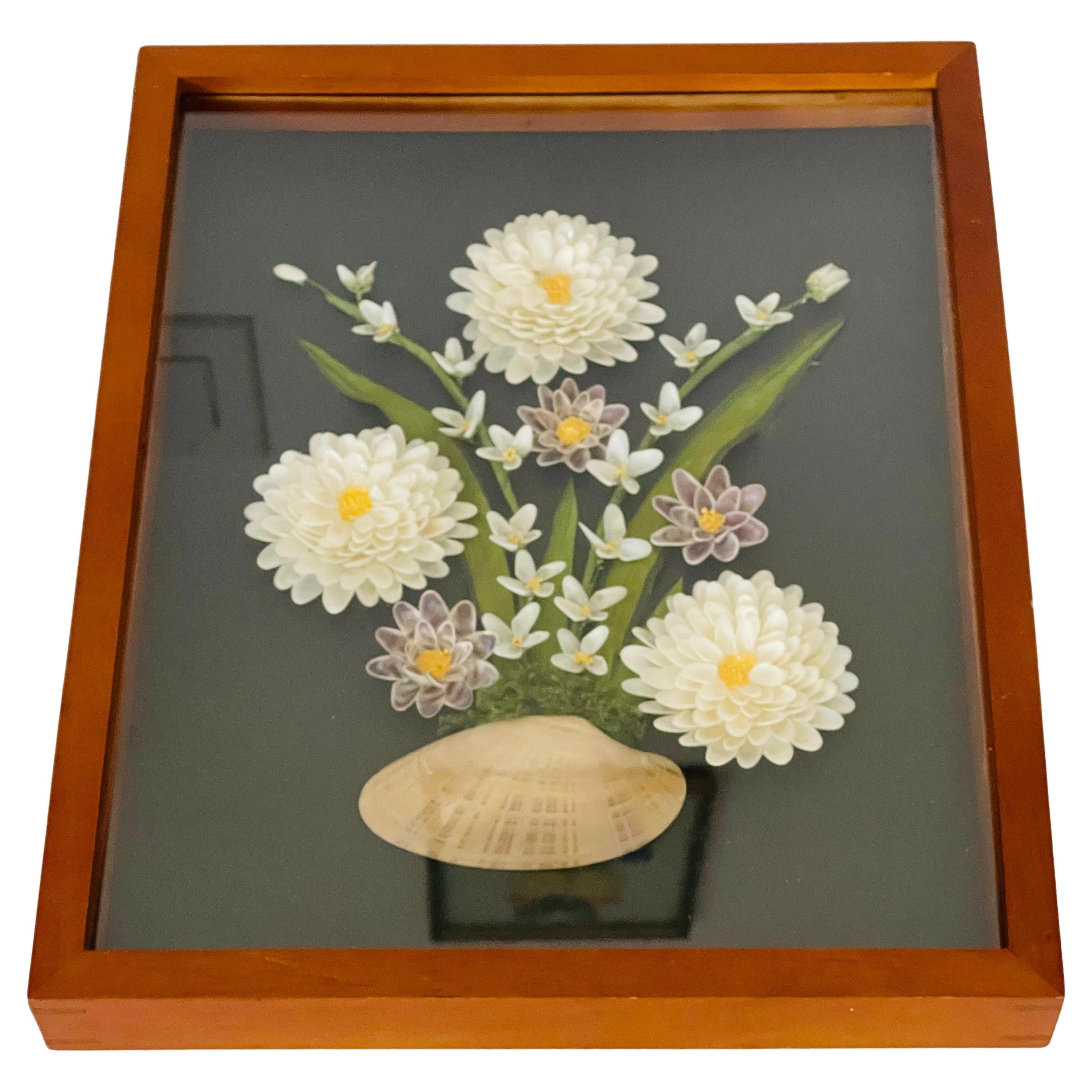 Fabulous Sea Shell Installation Framed