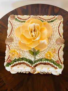 Fabulosa caja del tesoro de conchas marinas