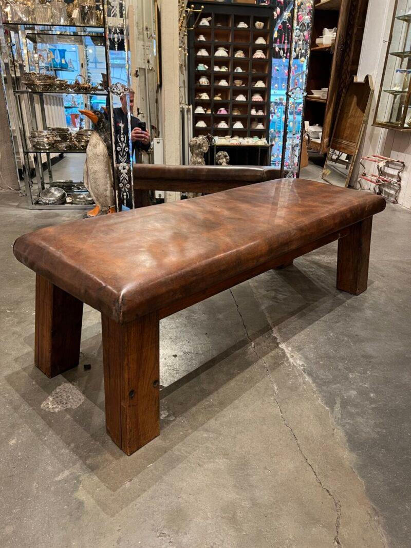 French Fabulous Vintage Leather Daybed/Coffee Table/Bench