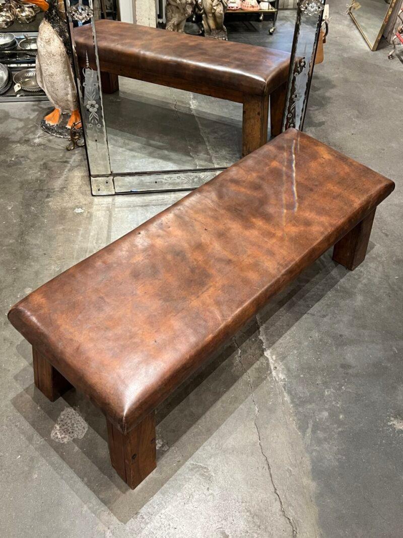 Mid-20th Century Fabulous Vintage Leather Daybed/Coffee Table/Bench