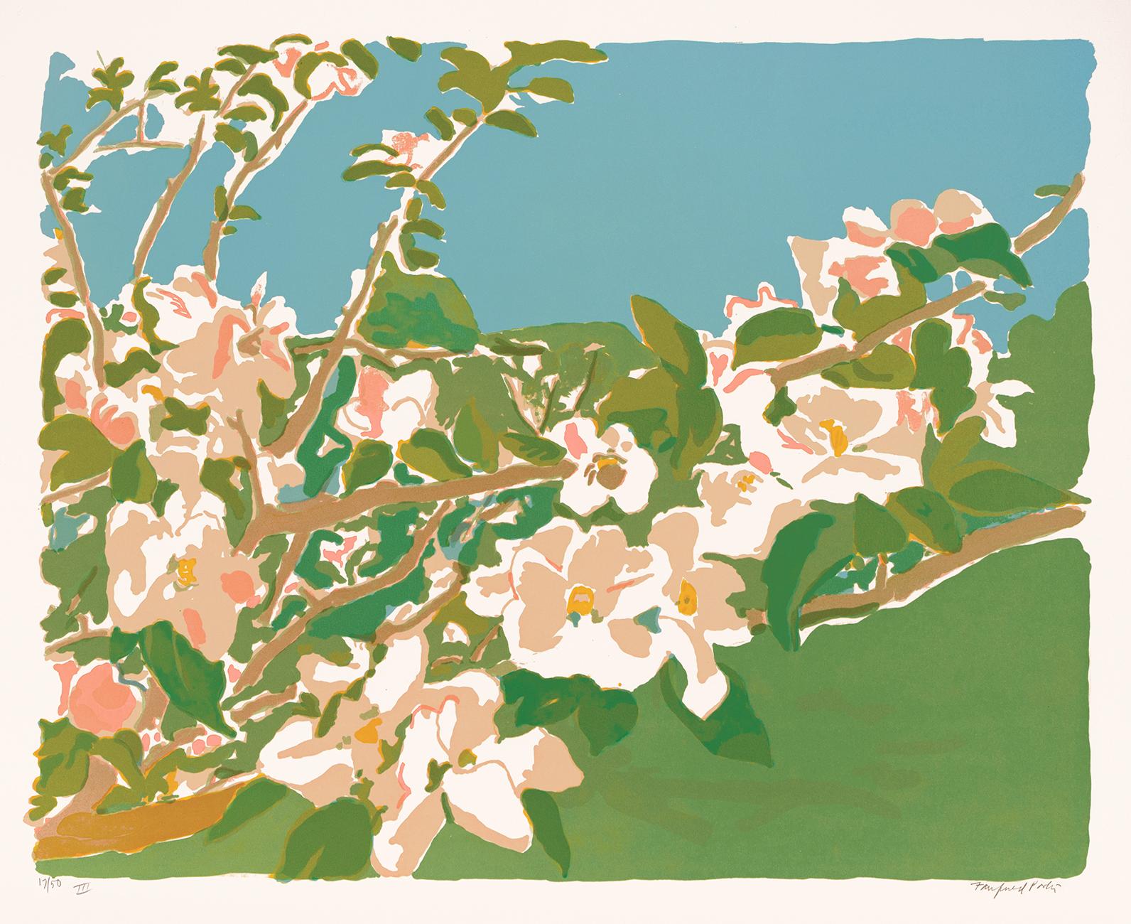 Fairfield Porter Figurative Print - 'Apple Blossoms III' — Modernist Representation