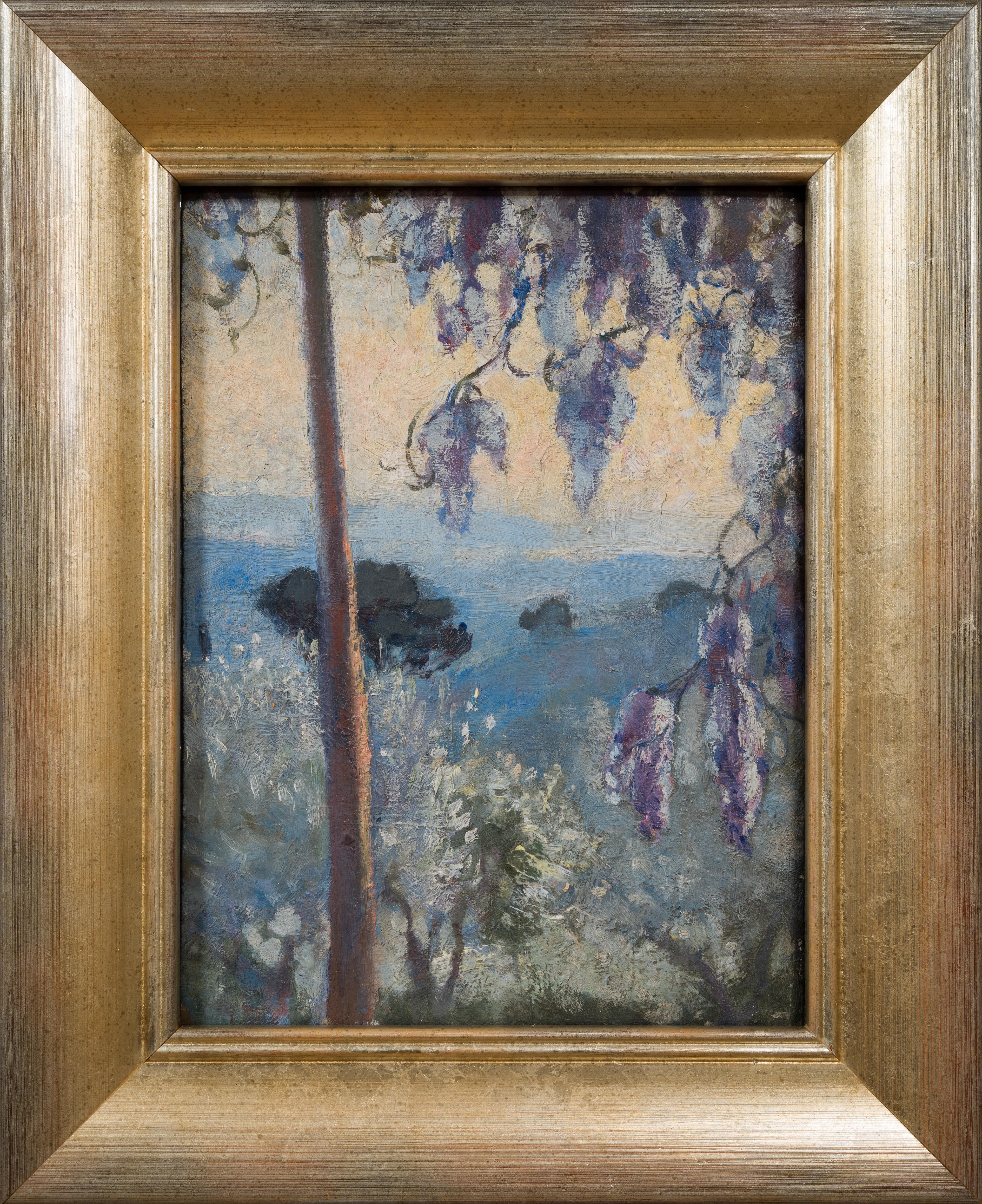 Glyzinien in Italien - Sonnenbeschienene Blüten, die sich über eine ruhige italienische Landschaft ergießen