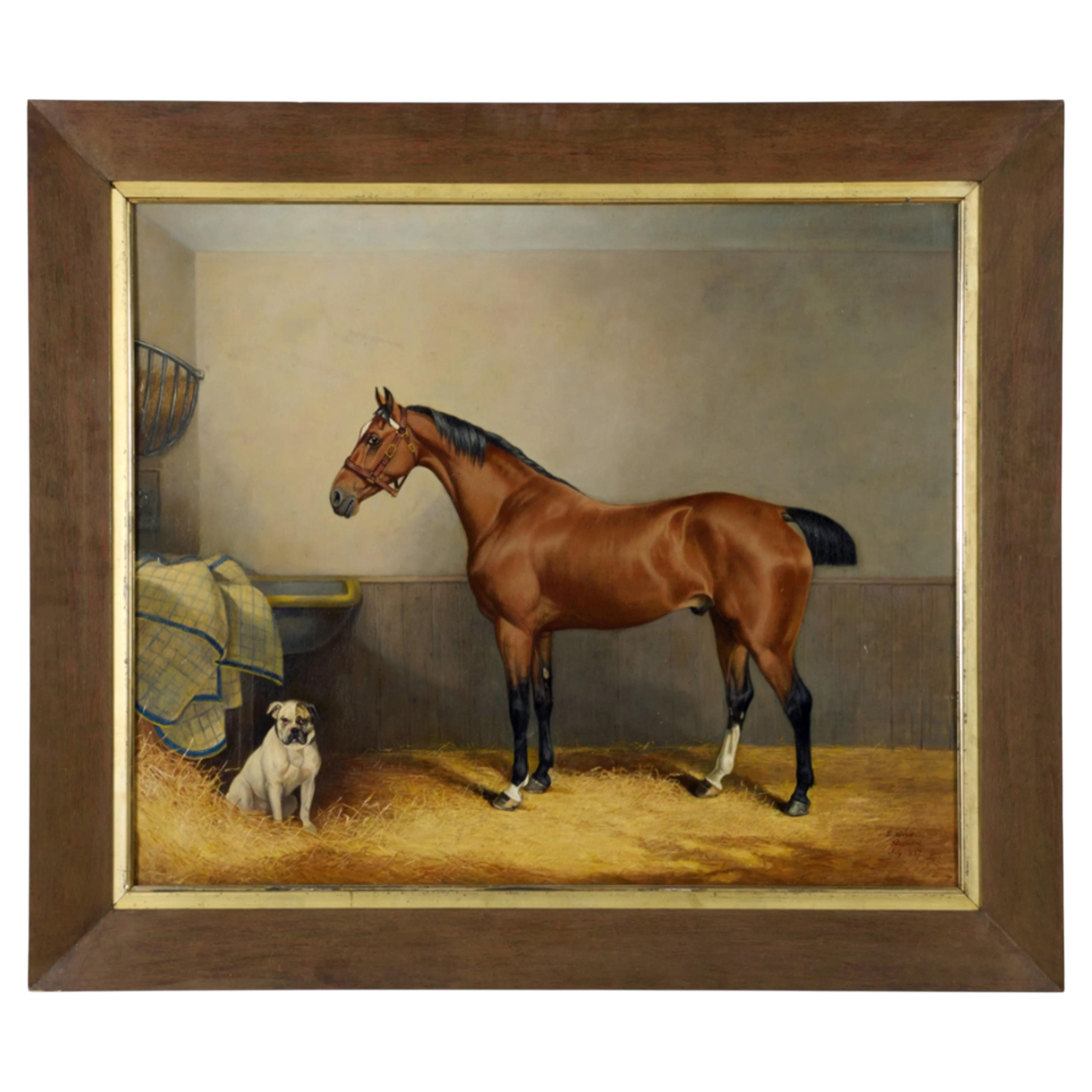 Amici fedeli del maniero: “Ellesmere Bay” e “Bulldog”, del 1887 in vendita