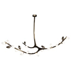 Falcon Chandelier by Barlas Baylar