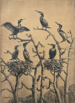 Falke Bang (1912–1998) – Danish Bird Etching, Cormorants