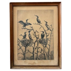 Falke Bang (1912–1998) – Danish Bird Etching, Cormorants