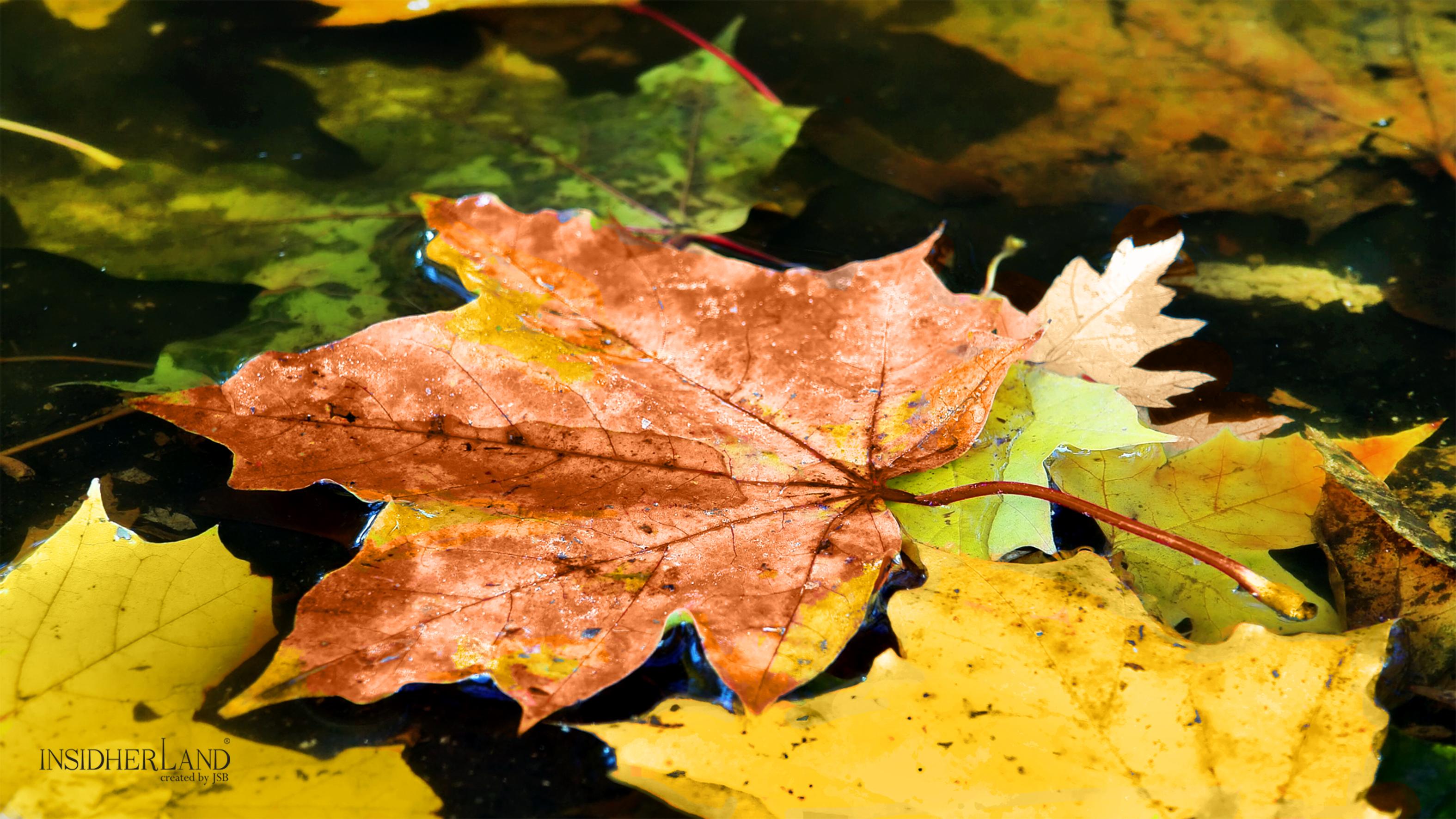 Moderne Miroir édition spéciale Fallen Leaves (en stock), InsidherLand de Joana Santos Barbosa en vente