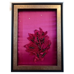 Falling Flower
