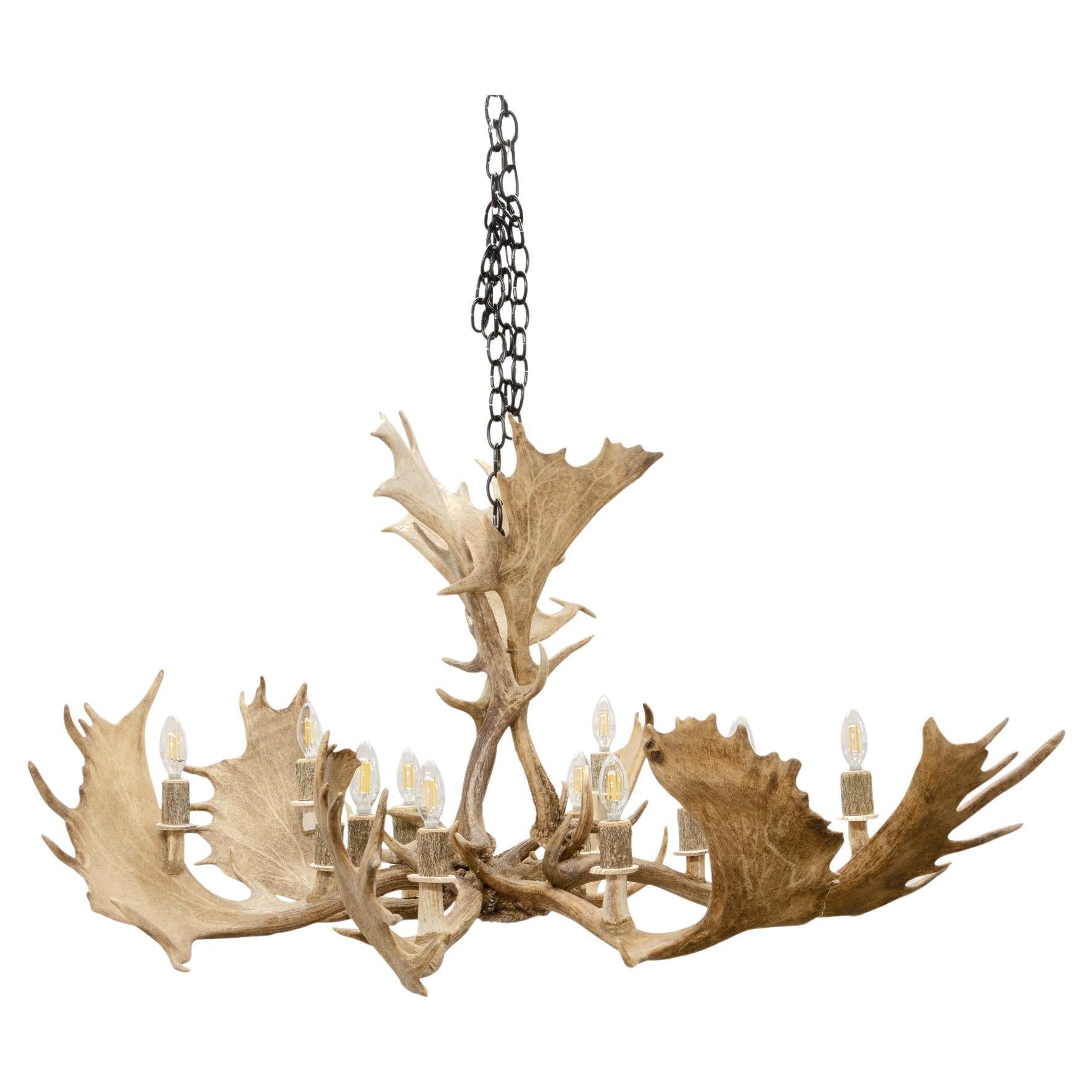 Fallow Deer Natural Antler Chandelier