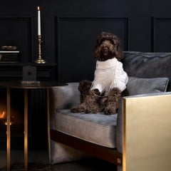 Famed Brass Detaillierte Samt Sessel in Display