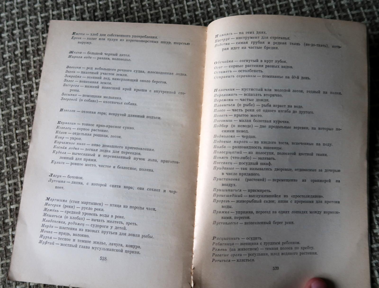 Family Chronicle, Childhood of Bagrov the Grandson' by S.T. Askakov, 1J102 For Sale 3