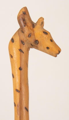 Family Group of Three African Giraffes