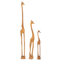 Family Group of Three African Giraffes