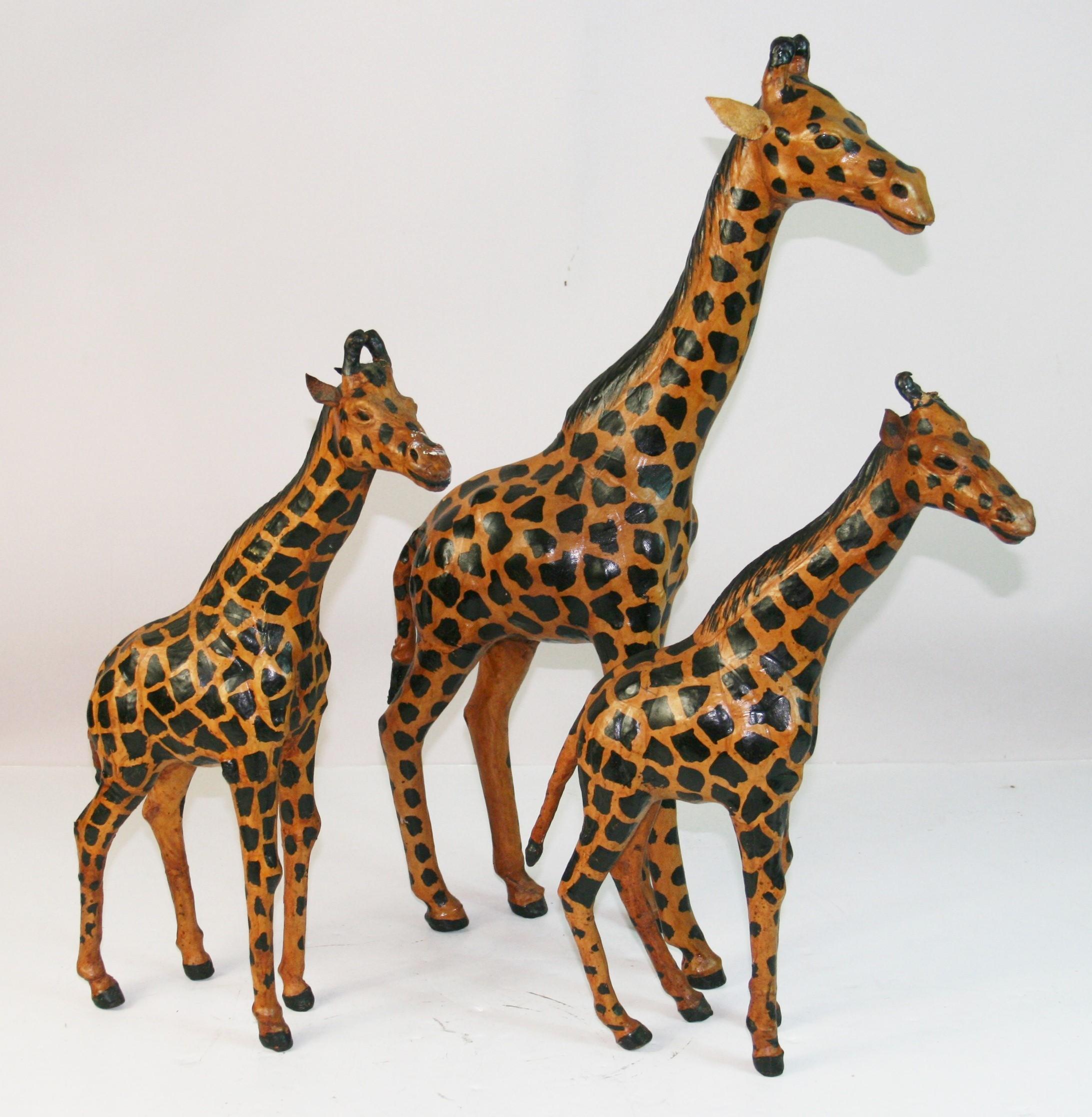 1820 Famiglia di 3 giraffe intagliate e rivestite di pelle dipinta a mano
grande 23