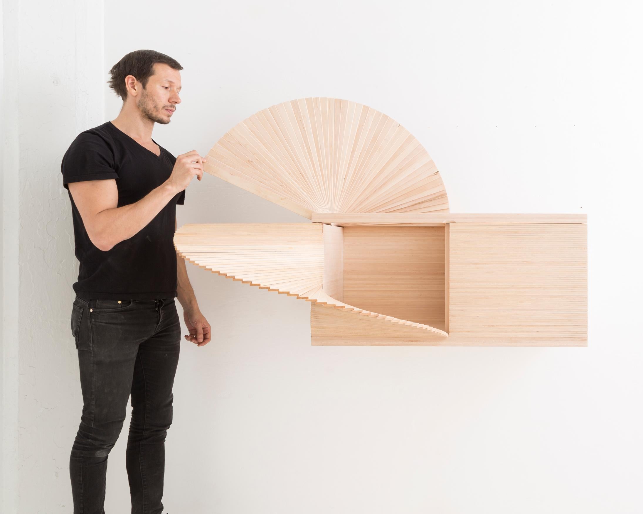 Fan Cabinet in Wood and Metal Elements by Sebastian ErraZuriz, 2018 For Sale 7