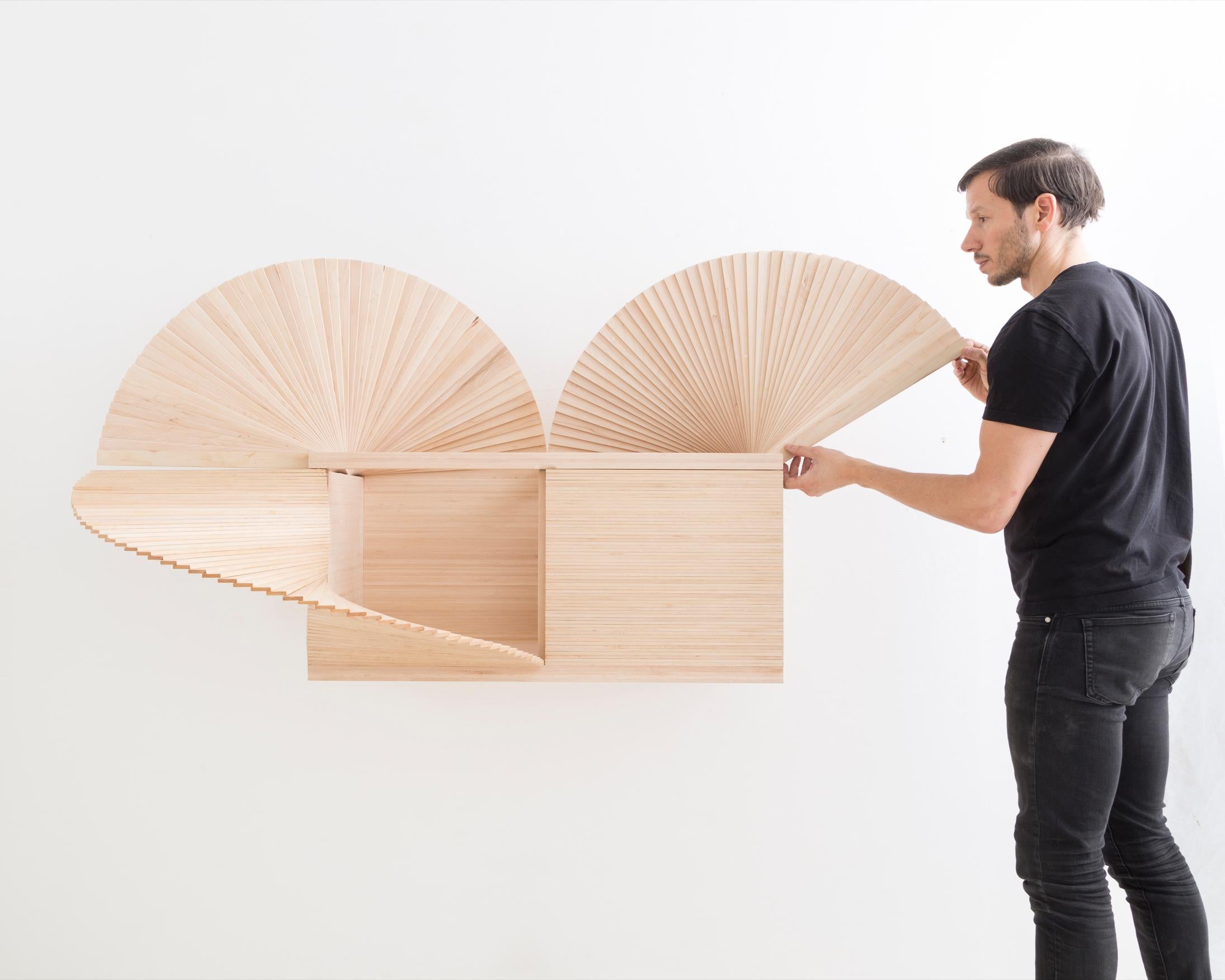 Fan Cabinet in Wood and Metal Elements by Sebastian ErraZuriz, 2018 For Sale 8