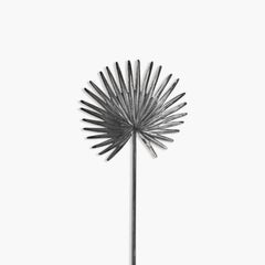 Fan Palm Leaf Pin with Matte Rhodium Finish
