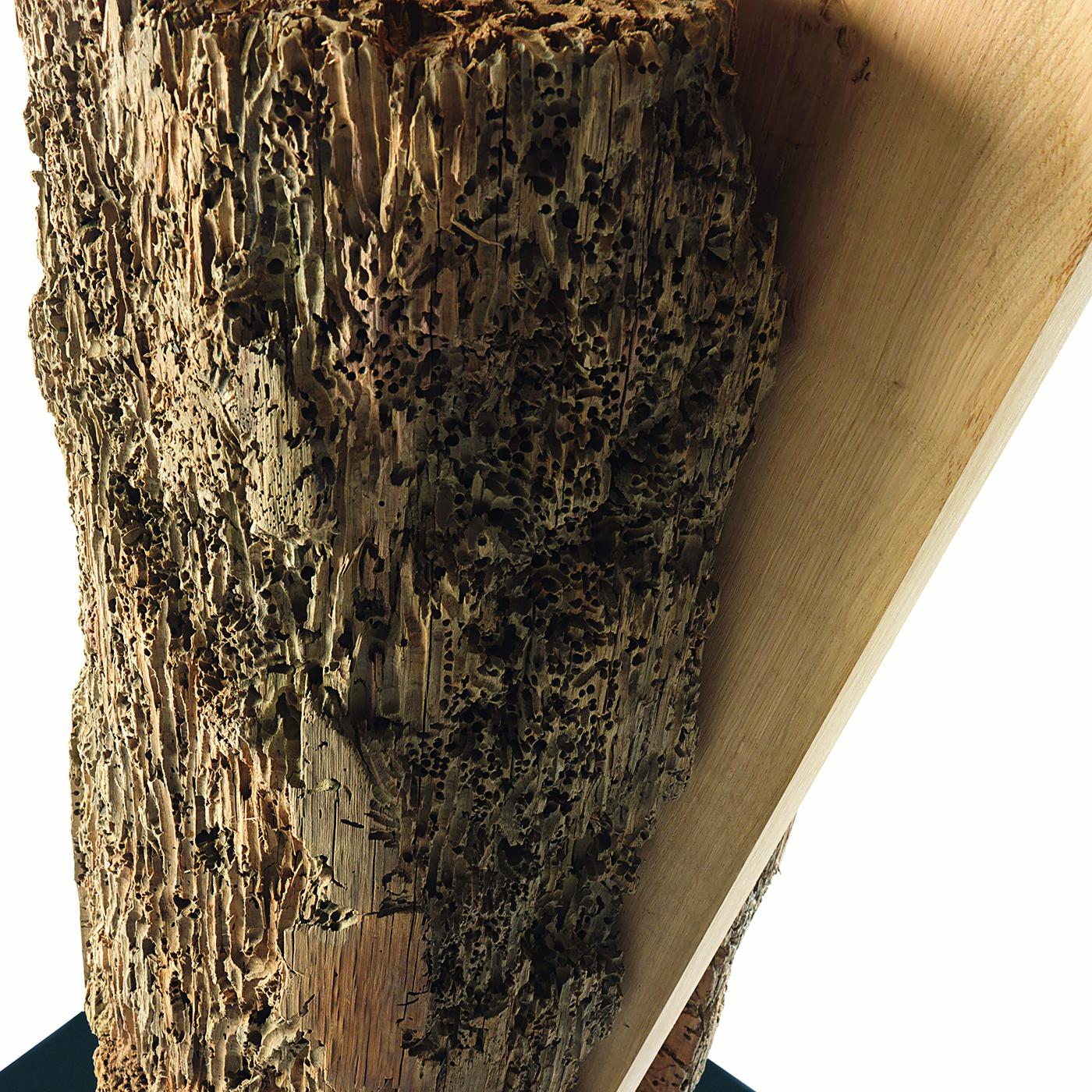 Ferro Scultura Fan Raw Oak in vendita