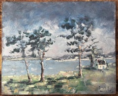 French Coastal Landscape with Windswept Trees at Golfe du Morbihan Brittany