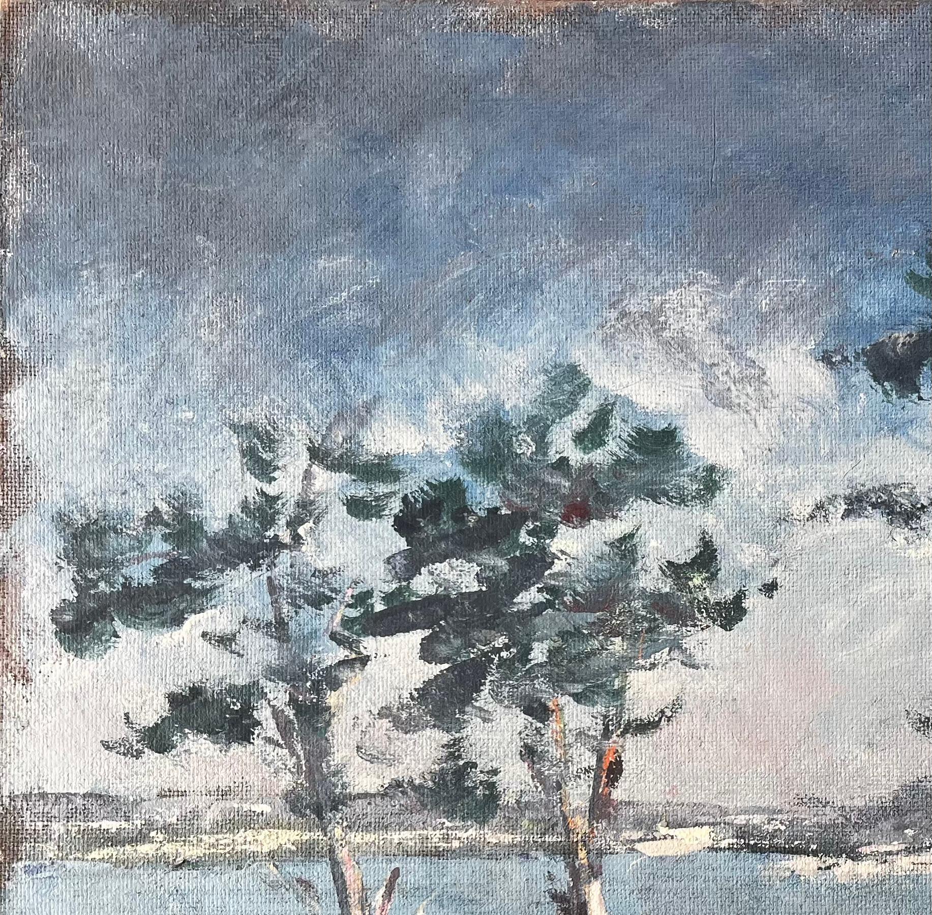 Paisaje Costero Francés con Árboles Barridos por el Viento en Golfe du Morbihan Bretaña en venta 1