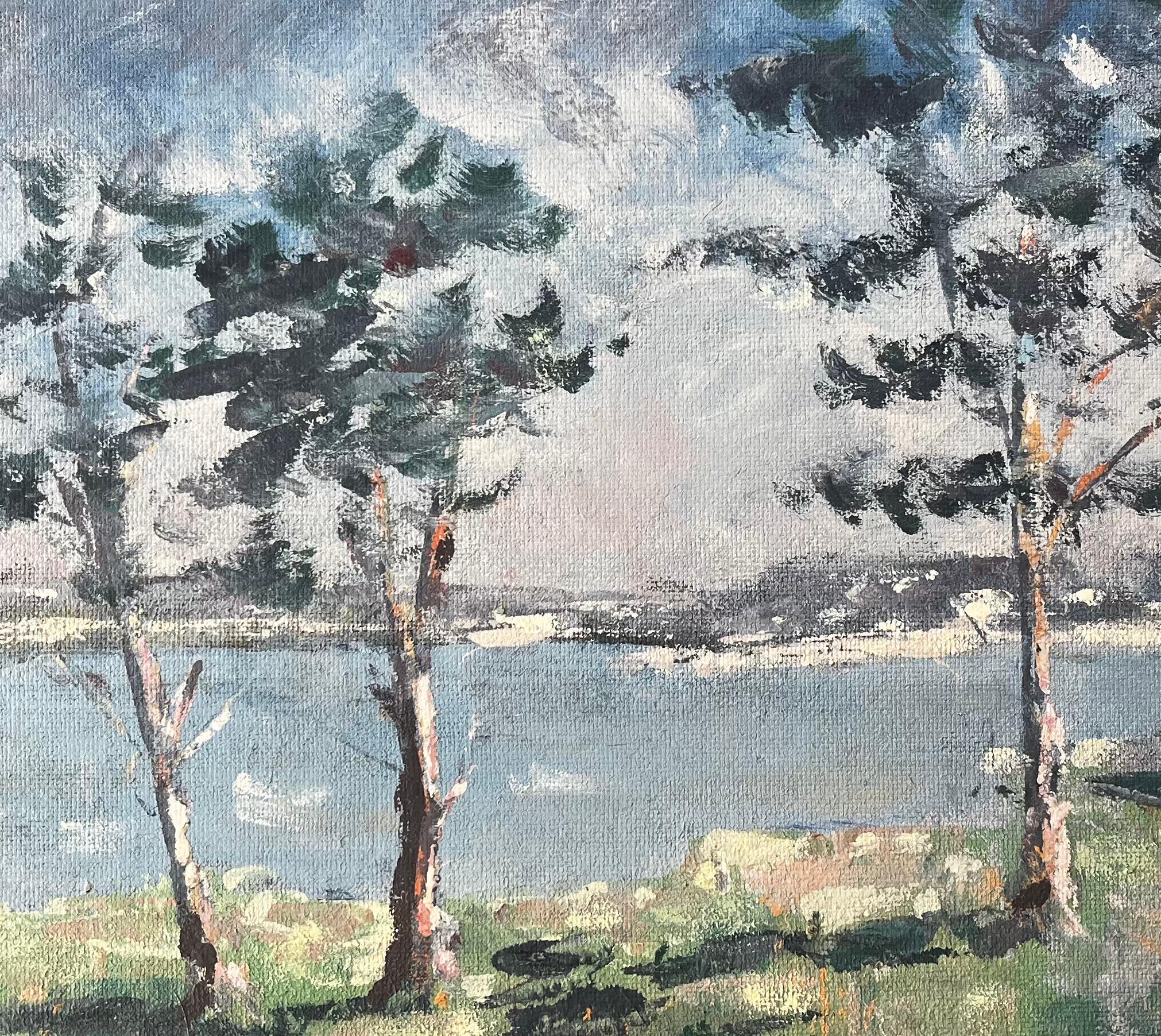 Paisaje Costero Francés con Árboles Barridos por el Viento en Golfe du Morbihan Bretaña en venta 2