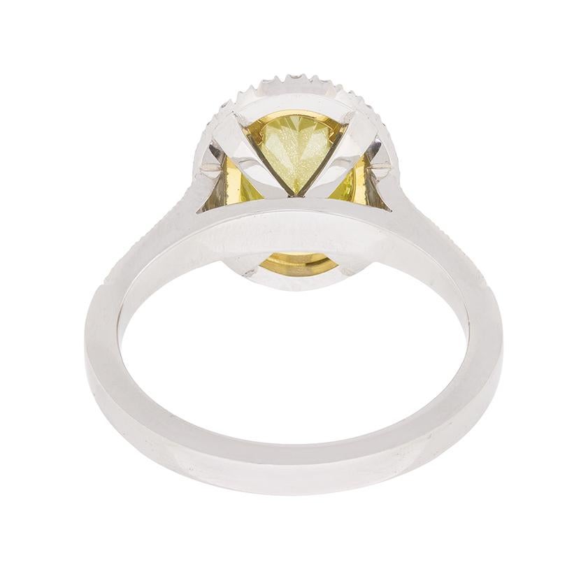 Oval Cut Fancy Intense Yellow Diamond Double Halo Ring For Sale