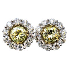 Fancy Light Yellow Round Diamond Stud Earrings with White Diamond Halo Jackets