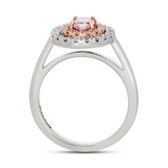 Fancy Pink-Purple Oval Diamond Double Halo Style Ring in Plat/18K Rose Gold