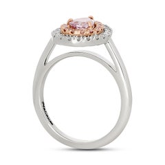 Fancy Pink-Purple Pear Diamond Double Halo Style Ring in Plat/18K Rose Gold