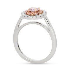 Fancy Purplish Pink Oval Diamond Double Halo Style Ring in Plat/18K Rose Gold