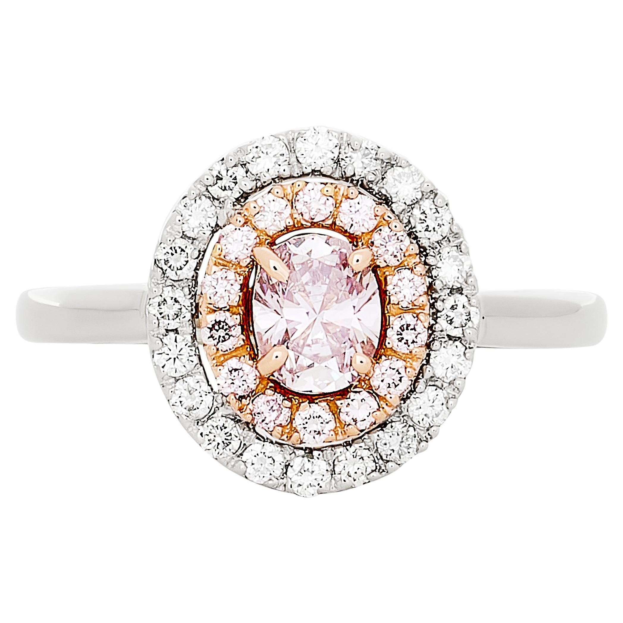 Fancy Purplish Pink Oval Diamond Double Halo Style Ring in Plat/18K Rose Gold