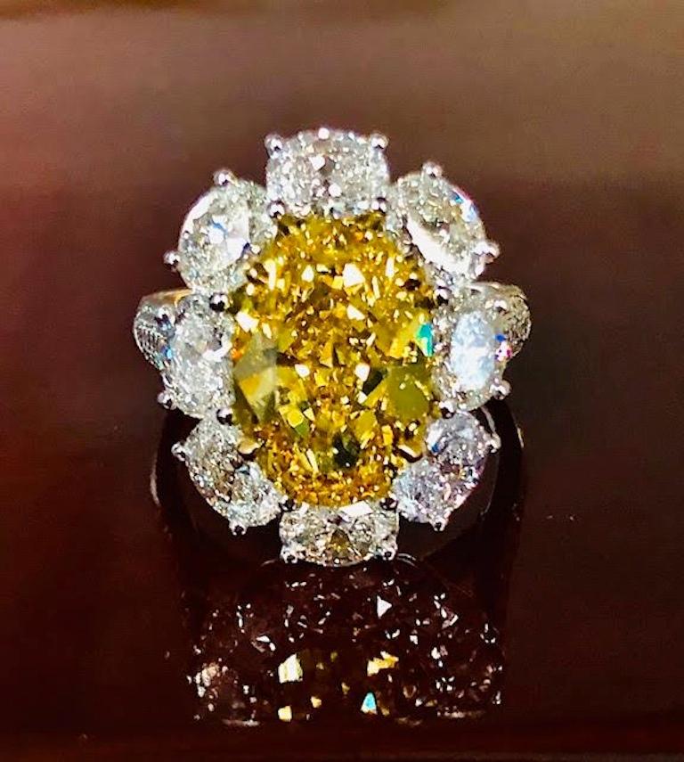 A very Rare Oval Shape Natural Fancy Vivid Yellow ( the strongest yellow)  Diamond 4.43 carats with a GIA report, made into this magnificent handmade Ring, in Platinum and 18K Yellow Gold, surrounded by a row of fine quality white Ovals diamonds