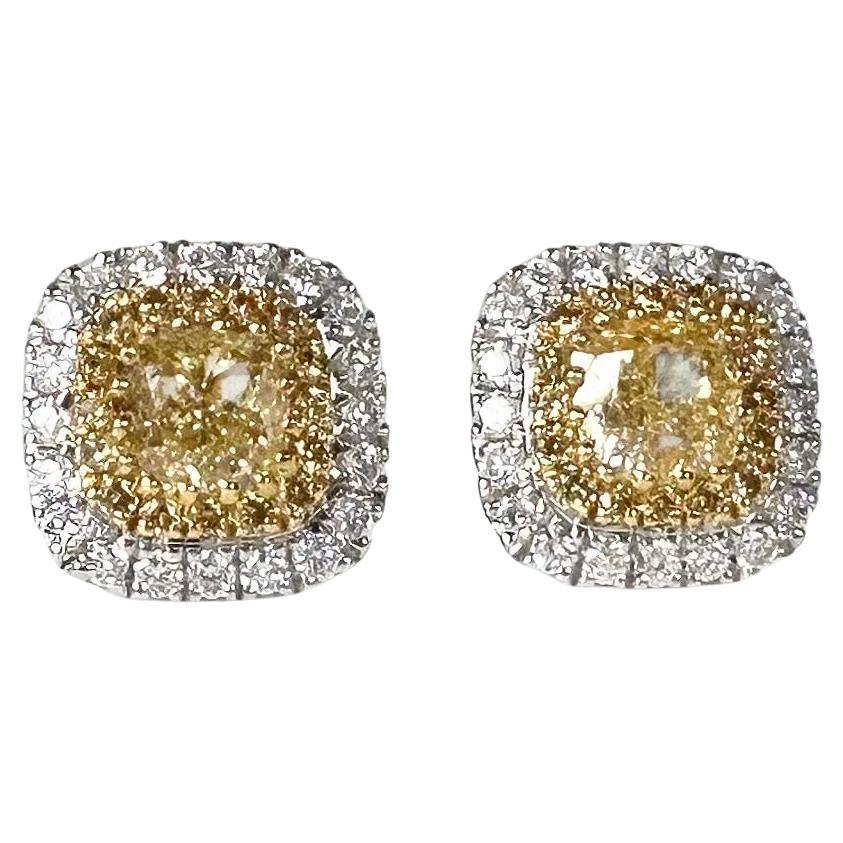 Fancy yellow diamond stud earrings 18KT 1.46ct Double halo stud earrings For Sale