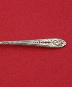 Faneuil Engraved by Tiffany and Co Sterling Silver Salt Spoon Antique