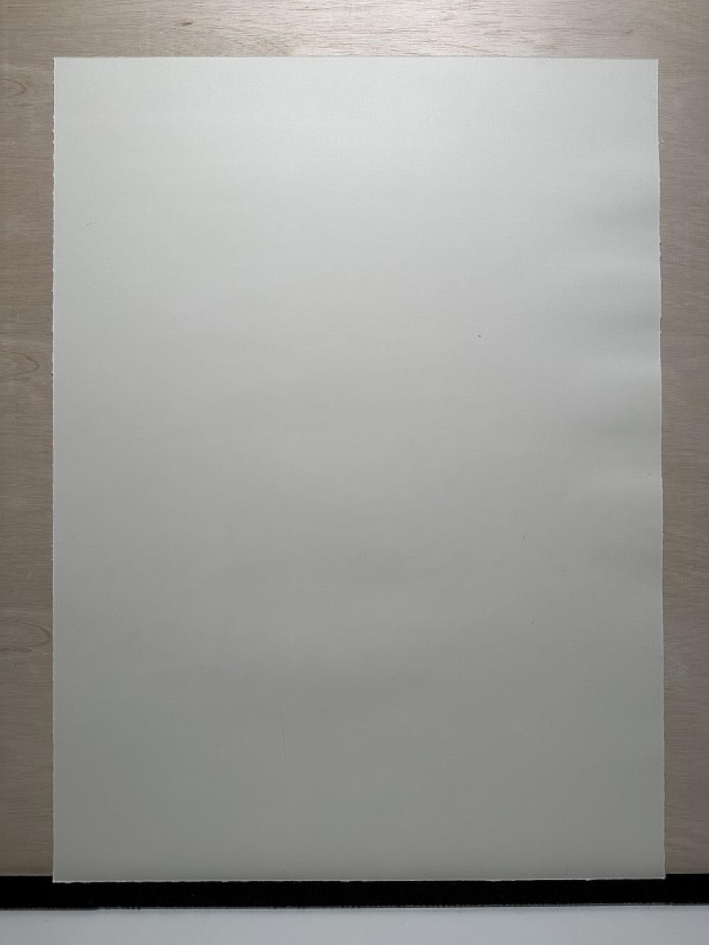 Le nuage (2006) Édition limitée de Fang Lijun signée à la main par l'artiste en vente 2