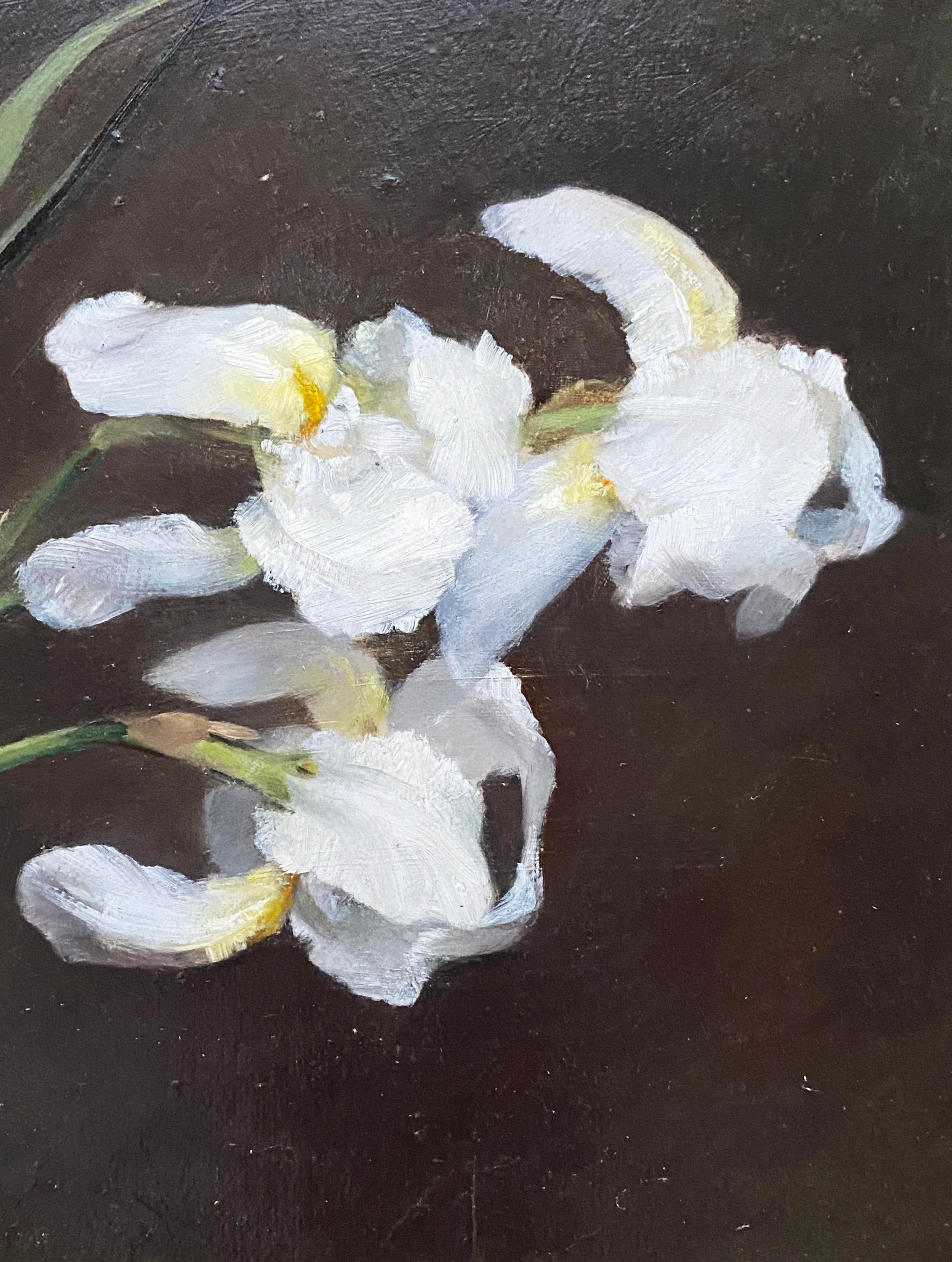 Purple and White Iris - Black Still-Life Painting by Fannie C. Burr