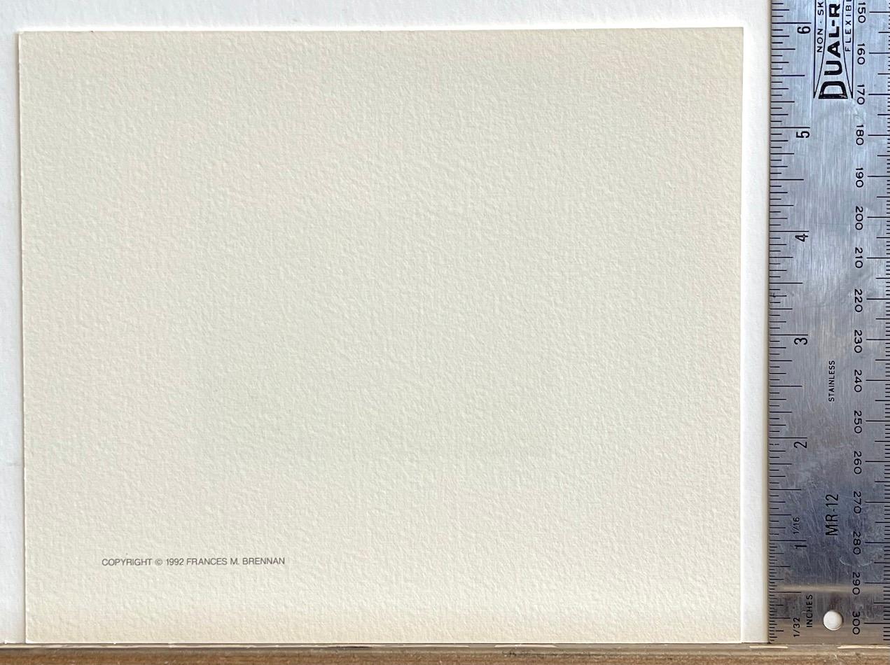 AQUEDUCT ist eine handgezeichnete Lithografie der amerikanischen surrealistischen Künstlerin Fanny Brennan in limitierter Auflage, die in traditioneller Handlithografie-Technik auf archivfähigem, 100% säurefreiem Arches-Papier gedruckt wurde.