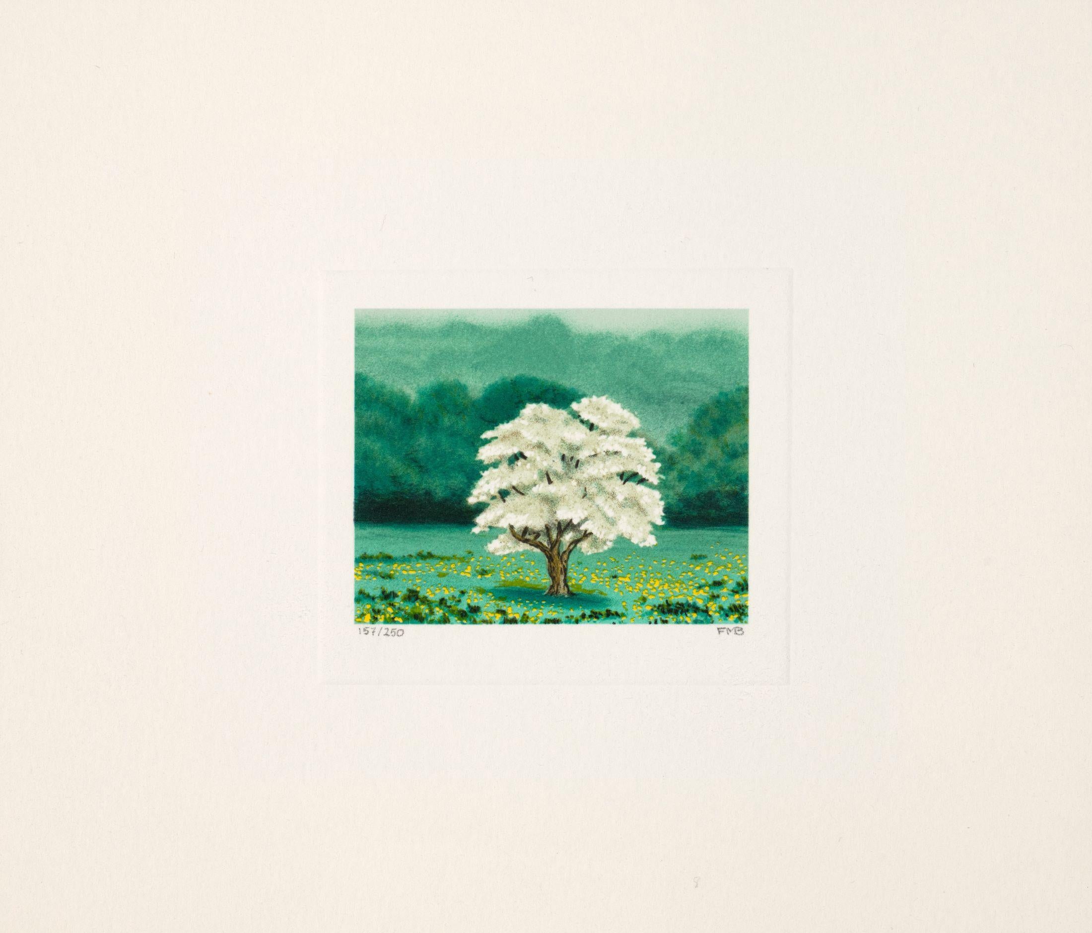 Fanny Brennan Landscape Print - Solo