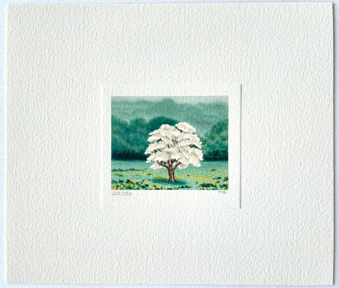 SOLO Litografia firmata, Mini Paesaggio, Albero bianco, Greene & Greene, Fiori gialli in vendita 3