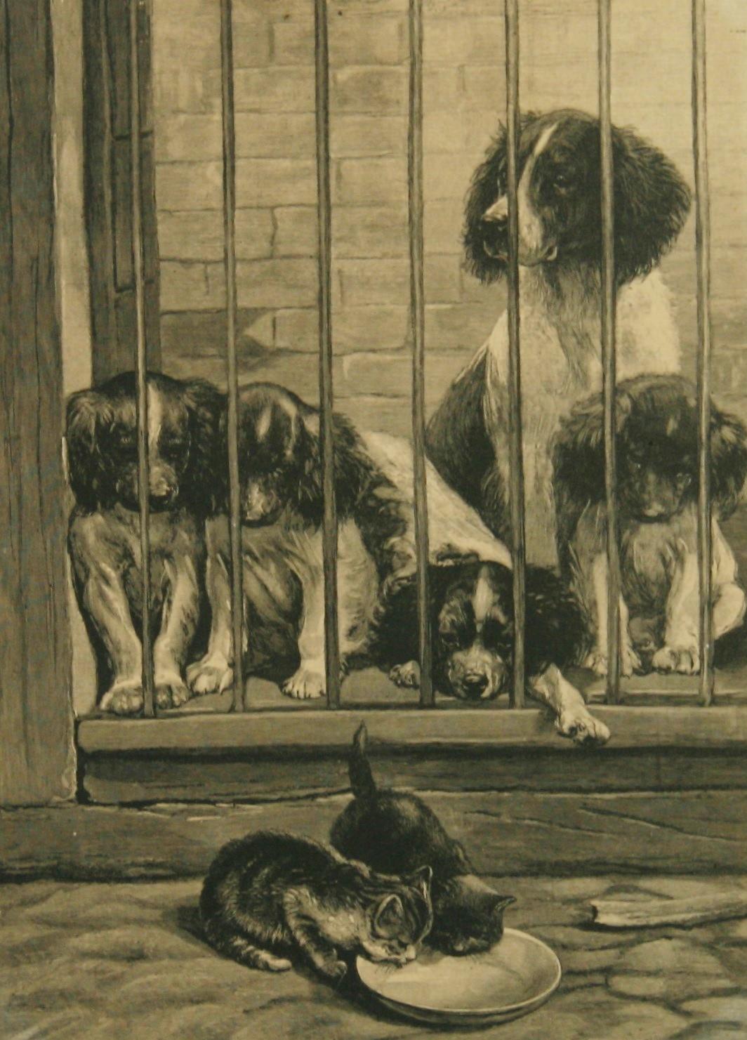 Antique Engraving Dogs Watching Cats Drink Milk  Cats Animal  1895 - Print by Fanny Moody