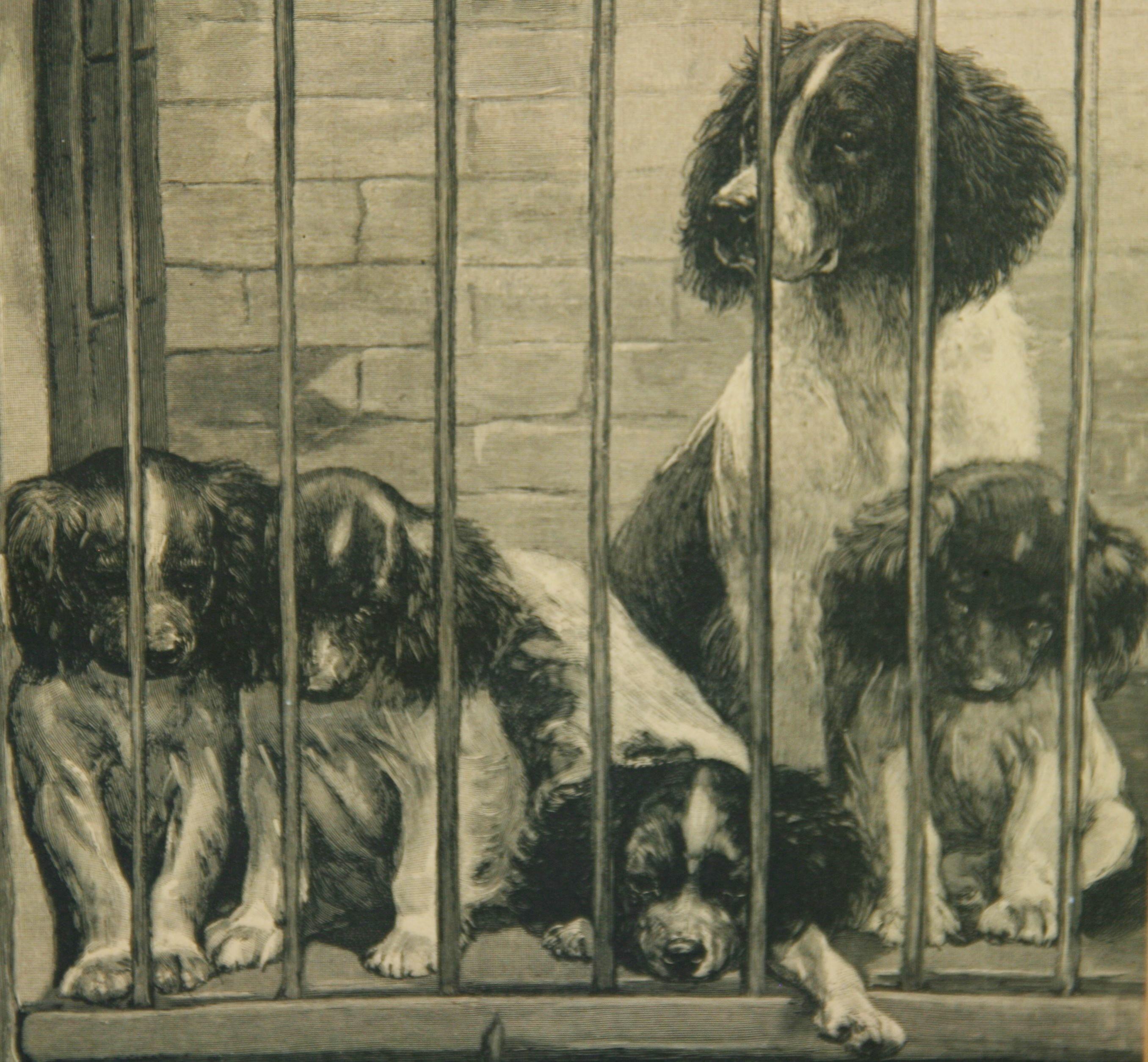 3881 Dogs and Cats Animal Engraving
Image size 11.5x8